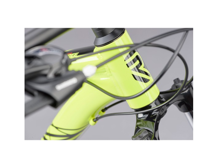 Ridgeback Terrain 3 2021