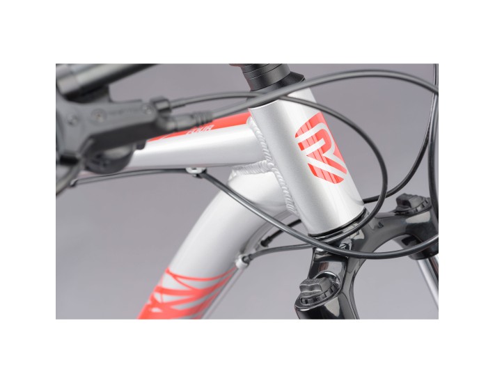 Ridgeback Terrain 4 2021