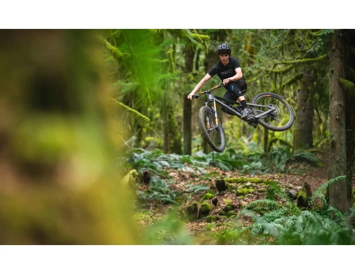 suspension Transition Sentinel Carbon NX