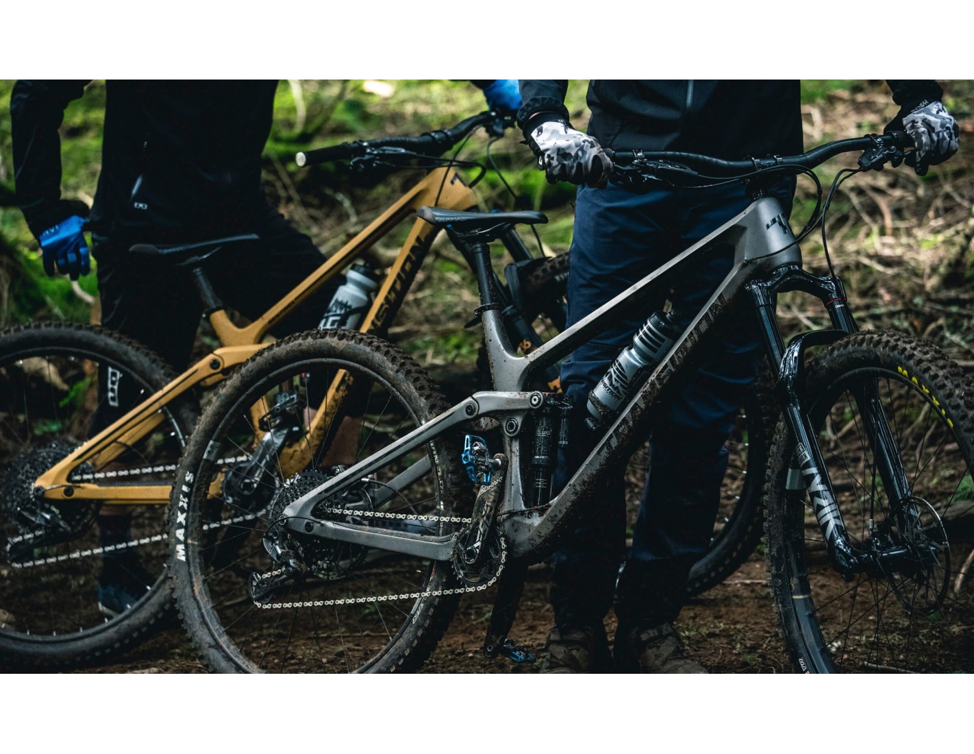 transition sentinel carbon