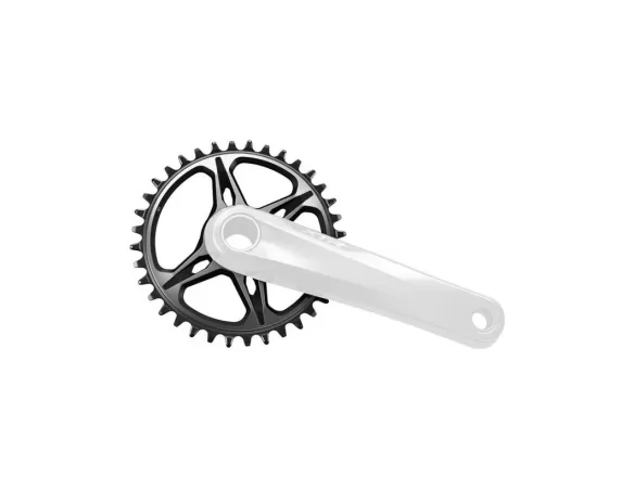 PLATO 28D SHIMANO M9100 XTR 38 28 12V