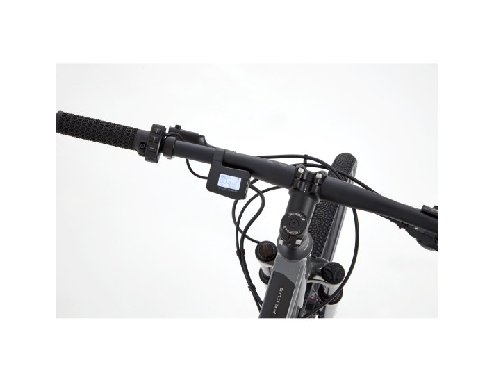 Ridgeback Arcus 1 2021