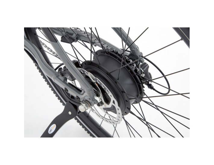 Ridgeback Arcus 1 2021